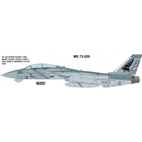 Decal Grumman F-14B Kater VF-143 'Pukin' Dogs 2001 
