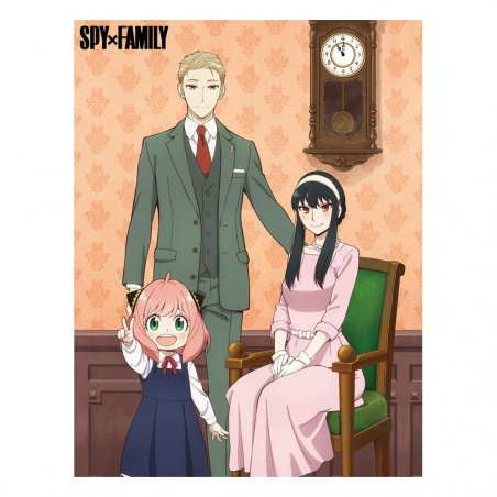 Spy x Family Decke Fälscher Family Post 117 x 152 cm 