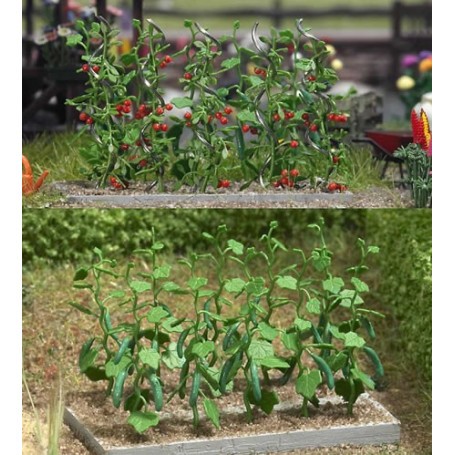 Gurken und Tomaten Pflanzen 